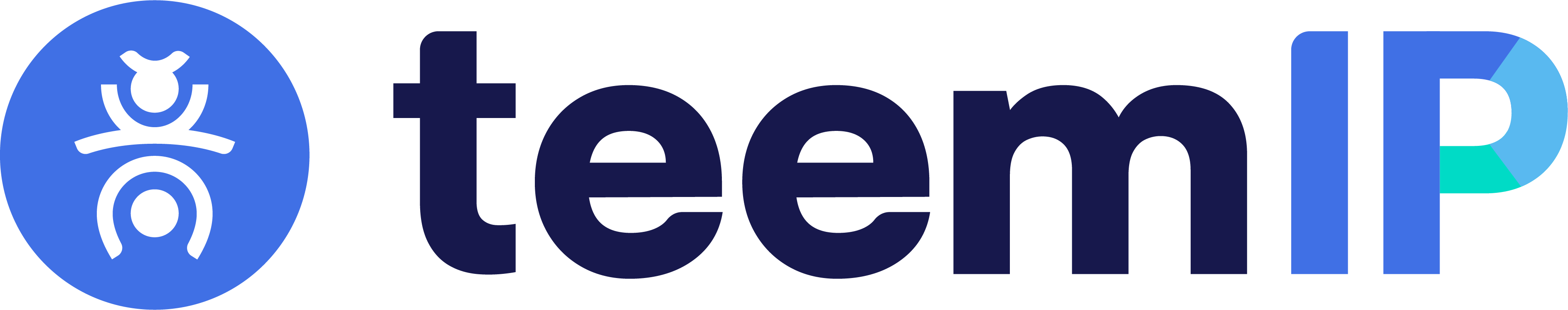 teemIP logo